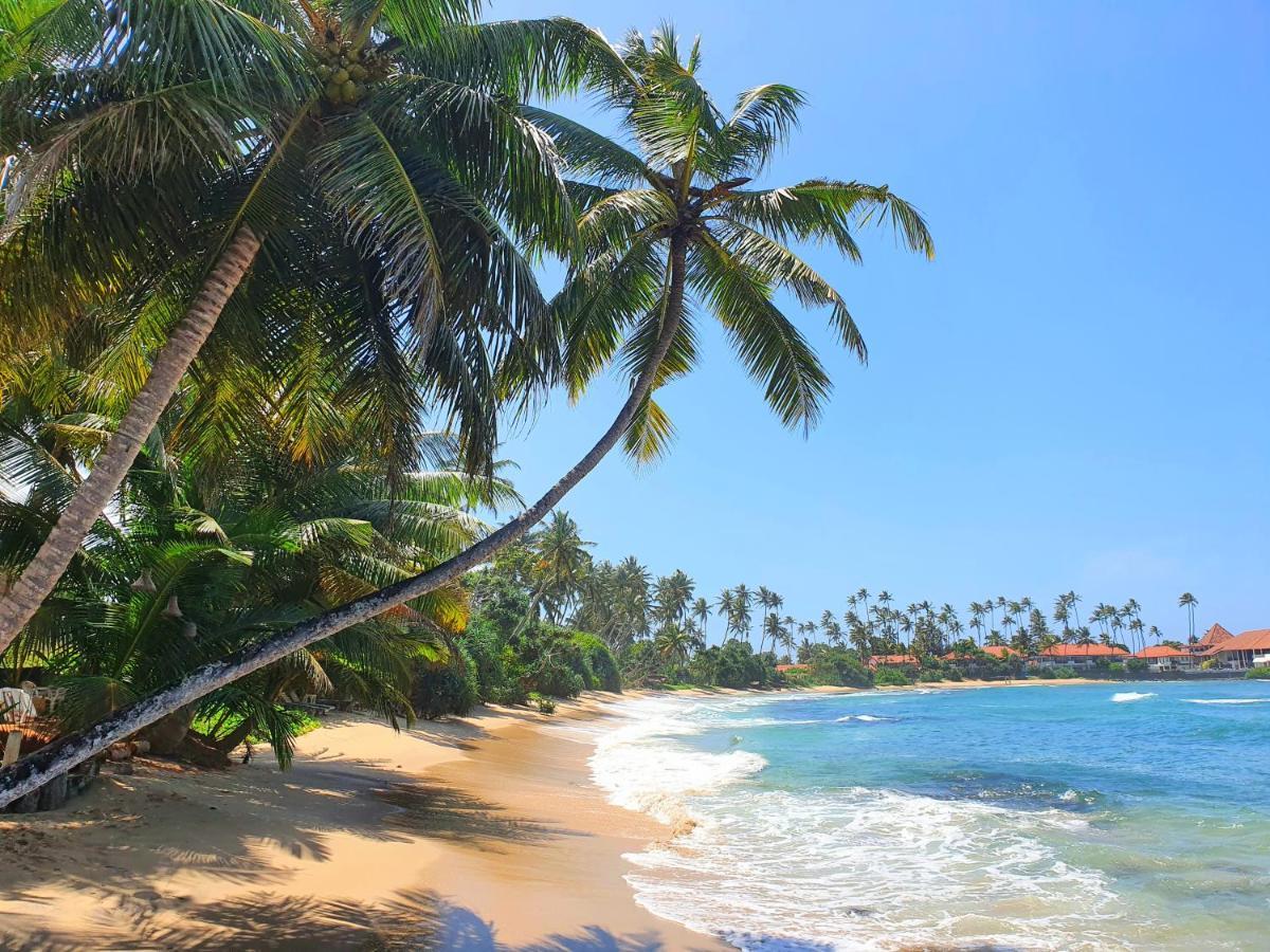 迪克韦勒The Beach House公寓 外观 照片